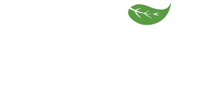 NGF